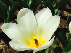 -长春公园(普阳街道)