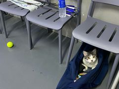 -蓝天射箭馆·专业射箭运动(诚丰广场店)