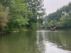 -溱湖国家湿地公园