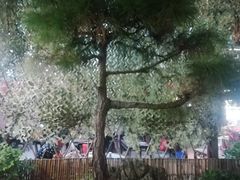 -悦和庄餐厅(迎宾北路店)