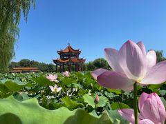 -南戴河国际娱乐中心