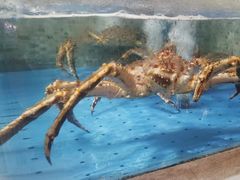 -阿杜打边炉(五江天街店)