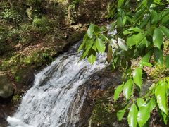 -燕子河大峡谷天坑仙境