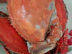 -合家小菜餐馆(新诚花苑店)