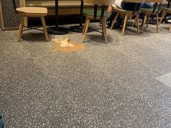 -星巴克臻选(嘉定疁城国际店)