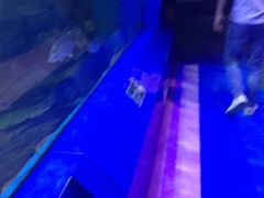 -重庆欢乐海底世界