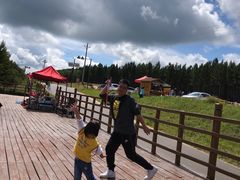 -塞罕坝国家级自然保护区