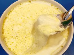 -德禄酸奶(莫家街店)