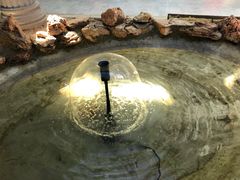-缘福乡村铁锅炖民宿(八达岭店)