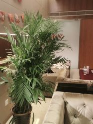 点击看大图 -白珂舞蹈教室