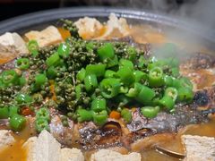 -探鱼·鲜青椒爽麻烤鱼(苏宁广场店)