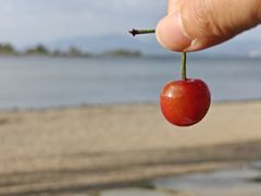 -洱海月湿地公园
