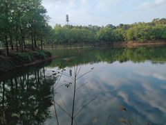 -红花湖景区
