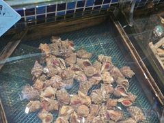 -天盛海鲜烧烤大排档·本地小海鲜·牟平腿穗子(幸福店)