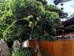 -法华学问寺-停车场