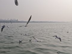 -蠡湖大桥公园