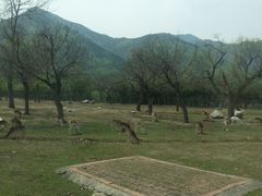 -西安秦岭野生动物园