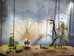 -陕西自然博物馆