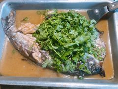 -天怡·鱼工厂(梅溪湖店)