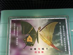 -上海昆虫博物馆