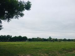 -西安浐灞国家湿地公园