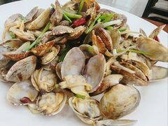 辣炒蛤蜊-人和啤酒屋海鲜大排档(营口路店)