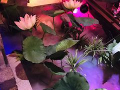 -韵秋荷(宝山龙湖天街店)