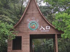 -南丹山森林王国