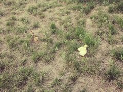 -汉长安城未央宫国家考古遗址公园