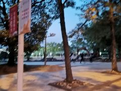 -同济大学(嘉定校区)