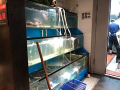 -老板恋上鱼(印象城店)