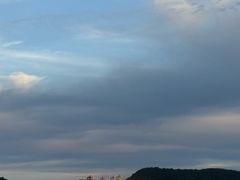 -羊山湖公园