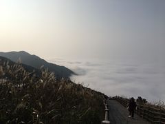 -大围山国家森林公园