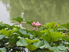 -江南大学(蠡湖校区)