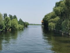 -白洋淀风景区