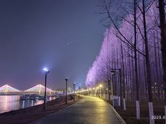 -武昌江滩