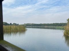 -溱湖国家湿地公园