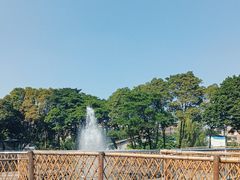 -陶缘一号·四季缘·老字号顺德菜·户外婚礼家宴(西滘店)