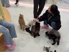 -麦当劳(济泺路店)