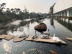 -罗红摄影艺术馆