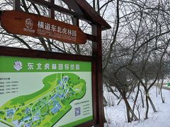 -横道河子东北虎林园