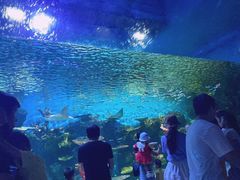 -华夏文旅海洋公园