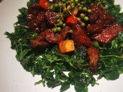 九层塔牛肉粒-青梅酒肆PLUS(长白仙岛北路店)