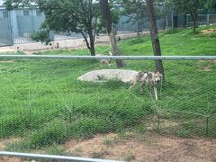-秦皇岛野生动物园