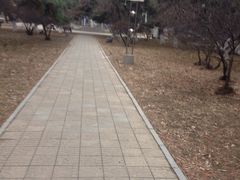 -东北大学(南湖校区)