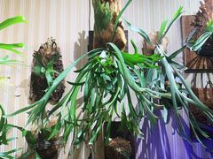 -Rabbit Cafe私房西餐甜点咖啡(栖霞路店)