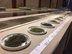-中国茶叶博物馆(双峰馆区)