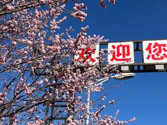 -鹫峰国家森林公园