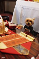 -云门影集(高新店)