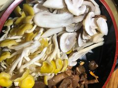 -菌之家·专业纯野生菌火锅·特色炒菌